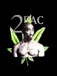 pic for 2 pac